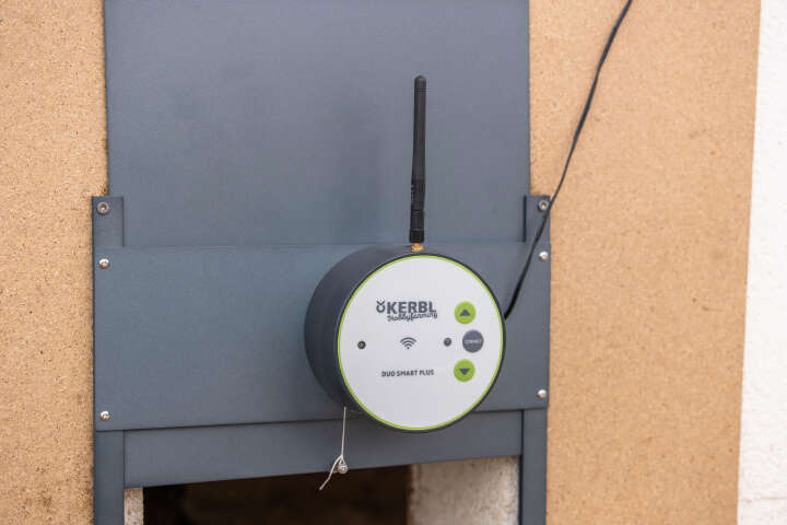 KERBL Automatische Hühnertür Komplettset